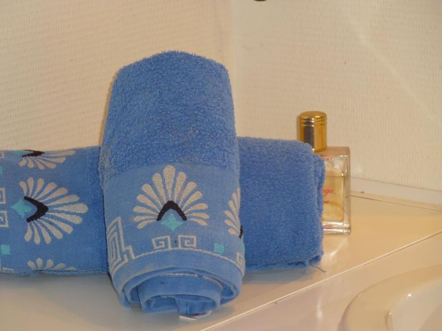 - Proche Du Centre - Salle D'eau Et Wc Prives Séjour chez l'habitant